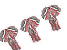Load image into Gallery viewer, Mexican Independence Day Box